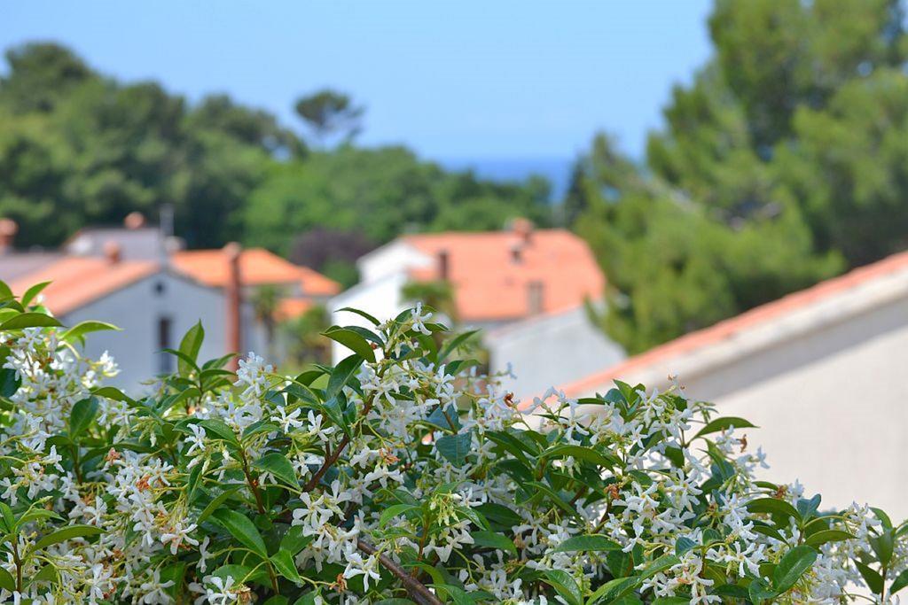 Apartments Zomzi Porec Luaran gambar